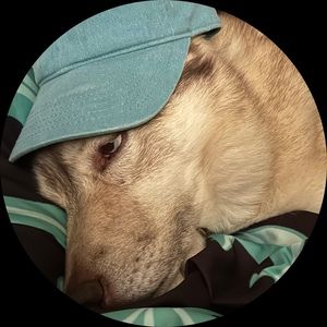 Meet your Posher, Em